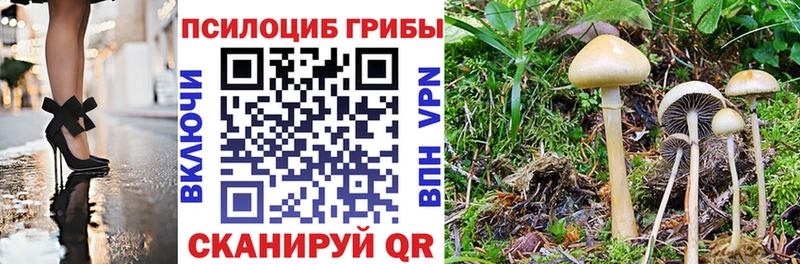 Галлюциногенные грибы мицелий  что такое наркотик  дарк нет официальный сайт  Плёс 